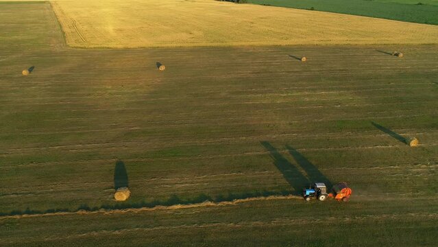 Aerial view tractor with baling machine making silage bales on farmland at agricultural field. Drone shot haystack and harvesting dry grass for agriculture. Farmers season to cut and harvest crops