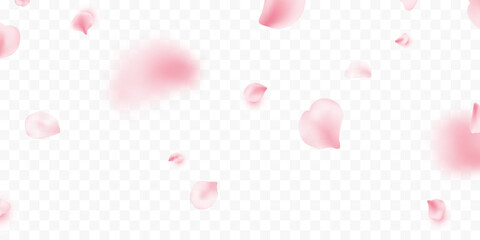Sakura petal spring blossom. Flower flying background. Pink rose composition. Beauty Spa product frame. Valentine romantic card. Light delicate pastel design. Wedding card. Vector illustration - obrazy, fototapety, plakaty