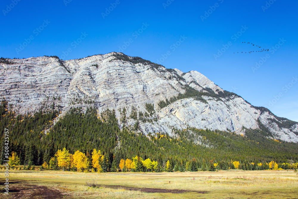 Poster picturesque shores of lake