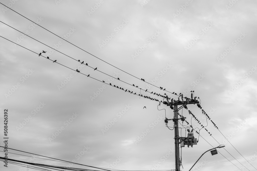 Wall mural power lines of the sky