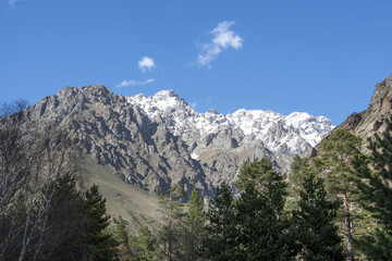 Fototapeta premium View of the mountain snow-capped peaks through the trees