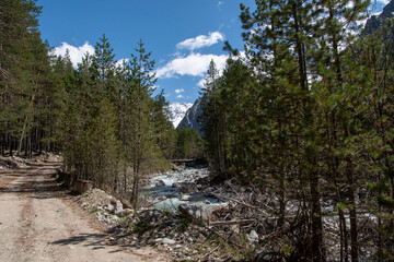Mountain river forest on the shore and mountains in the distance with snowy peaks