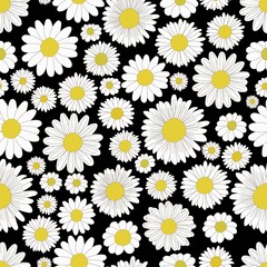 Seamless camomile pattern - 508428140