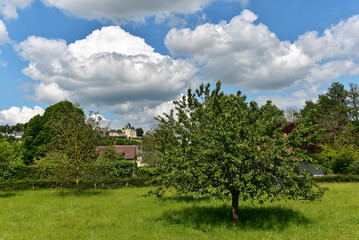 Frankreich - Sainte-Suzanne-et-Chammes - Sainte-Suzanne