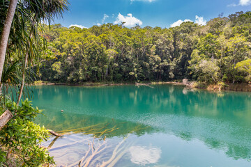 Lake Eacham with dark green Water surrounded by Trees, Queensland, Australia. © wagner_md