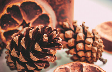 pine cones