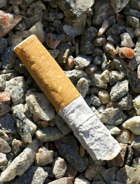 Cigarette butt with filer on gravel ground