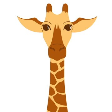 Portrait of a cute giraffe. Modern flat vector illustration isolated on white background