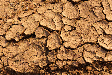 Cracked and dry land due to lack of water
