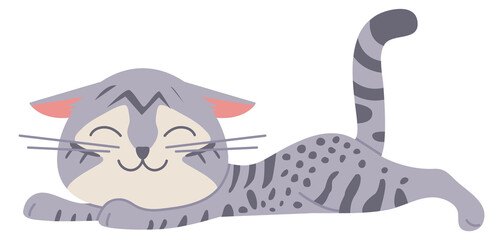 Resting gray cat. Cute sleeping smiling pet