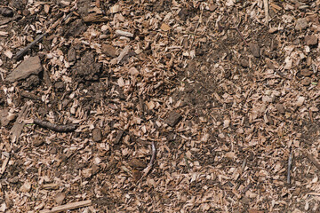 Chunks of wood on the ground. Sawdust background image or texture. Wood treatment waste