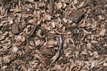 Chunks of wood on the ground closeup. Sawdust background image or texture. Wood treatment waste