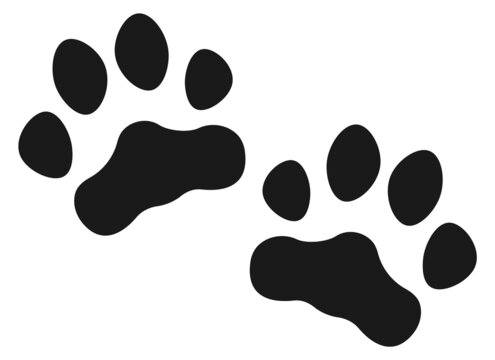 Cat paws print. Black pet foot marks