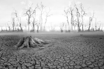 The concept of global warming and drought and poverty and food shortages. Arid soils with hot...