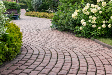 Paved alley of the park with flowering hydrangea bushes. Landscaping.