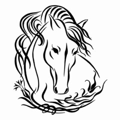 Fototapeta premium Horse Head Logo, Vector Illustration, hand drawn image. Horse head silhouette in ornament. Linear drawing. Calligraphy image.