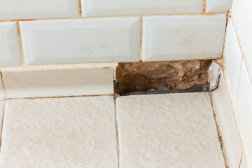 Damaged tiles in the bathroom or shower