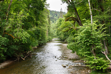 Fluss Wutach im Schwarzwald (Black Forest)