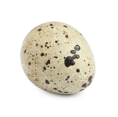 One beautiful quail egg isolated on white