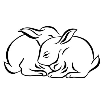 Little cute rabbits. A couple of rabbits black and white drawing.  Vector image. Linear drawing.