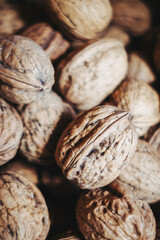 Groupe de noix fraiches dans la coquille