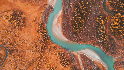 Blue river with yellow autumn trees in the mountains. Chuya river in Altai mountains, Siberia, Russia. Aerial top down view. Abstract autumn nature background
