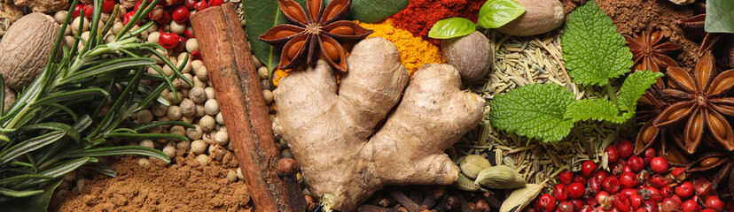 Different fresh herbs with aromatic spices as background, top view. Banner design