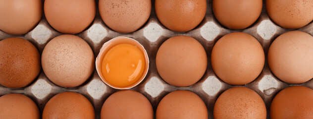 Carton of fresh raw chicken eggs as background, top view. Banner design