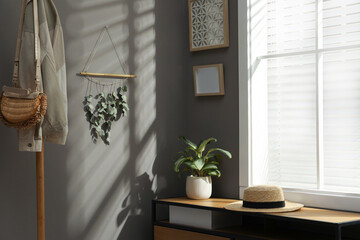 Beautiful decor element made of dry bamboo stick and eucalyptus branches hanging on grey wall in hallway