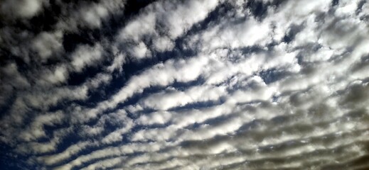 Azores landscape in good weather, summer