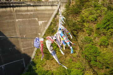 Carp Streamer swinging at Okuta Dam and lakeside mountains in Sendai, Miyagi, Japan - 日本 宮城県 大倉ダム 鯉のぼり