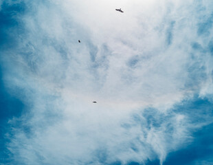 sky