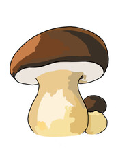 Drawn colored mushrooms of different types on a white background