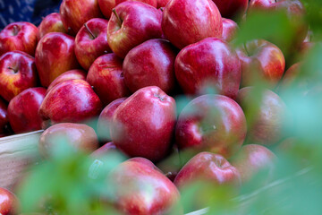 Fresh red apples in a market
