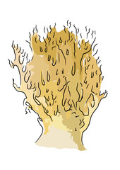 Drawn colored mushrooms of different types on a white background