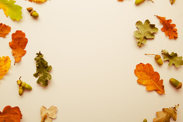 Autumn leaves flat lay seasonal copy space