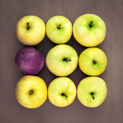 Ripe juicy yellow-green apples squared with one purple apple.