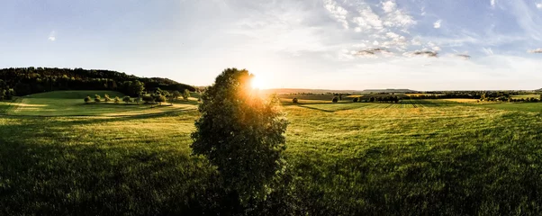 Acrylglasbilder Drohnenfotos mit Baum und Sonnenuntergang Panorama © Daniela Knipper