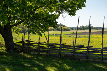 Beautiful farm landscape in spring