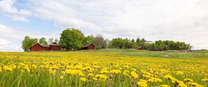 Beautiful farm landscape in spring