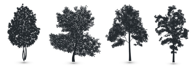 Fototapeta premium Bonsai tree Collection Silhouettes premium vector template