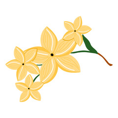 Vector seamless illustration with branches of flowers isolated on white background for wedding, greeting card, cosmetics, wrapping paper, textile print