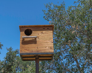 A Barn owl nesting box installed on a long pole at Lake Cachuma, Santa Barbara county, CA.