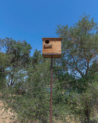A Barn owl nesting box installed on a long pole at Lake Cachuma, Santa Barbara county, CA.
