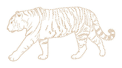 Tiger pinpoint silhouette