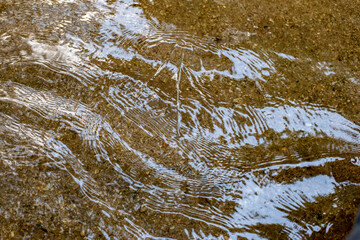 Photo of natural river water
