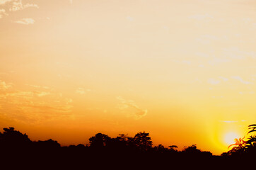 Beautiful sky when sunset. Twilight sky with slightly clouds and silhouette tree.