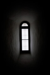 Large antique window in an 18th century castle that shows a beautiful natural landscape with branches, leaves, trees and a cloudy blue sky and mountains