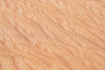 Fototapeta na wymiar Real Desert sand texture and pattern for background or presentation