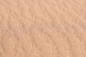 Real Desert sand texture and pattern for background or presentation